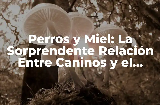 Perros y Miel: la Sorprendente Relación entre Caninos y el Néctar de las Abejas