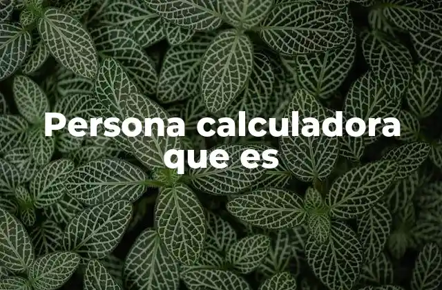 Persona Calculadora que es 2 La mente lógica detrás de cada decisión