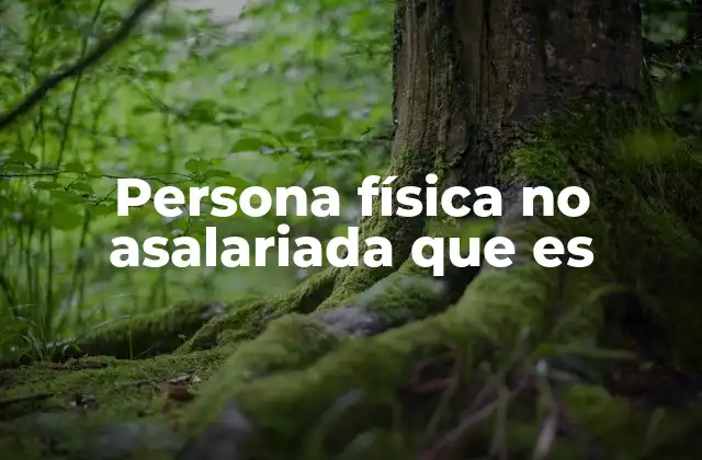 Persona Física No Asalariada que es