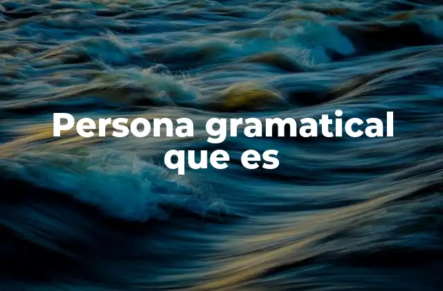 Persona Gramatical que es