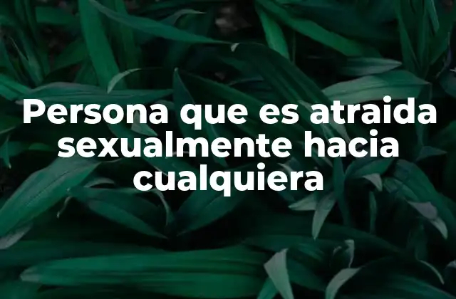 Persona que es Atraida Sexualmente hacia Cualquiera