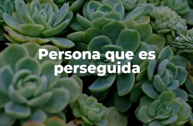 Persona que es Perseguida 2 Situaciones en las que una persona puede ser perseguida