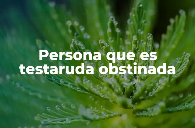 Persona que es Testaruda Obstinada 2 Rasgos comunes de una persona con tendencias testarudas y obstinadas