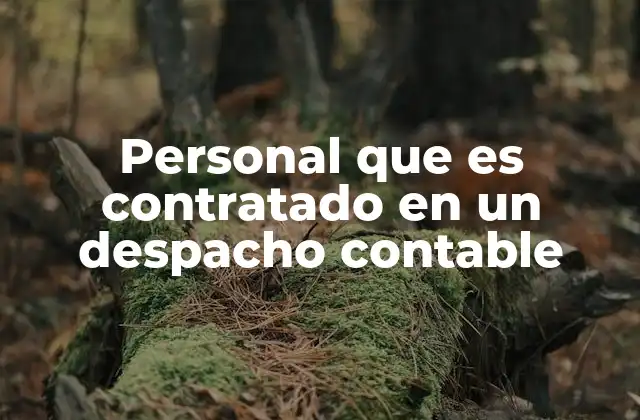 Personal que es Contratado en un Despacho Contable