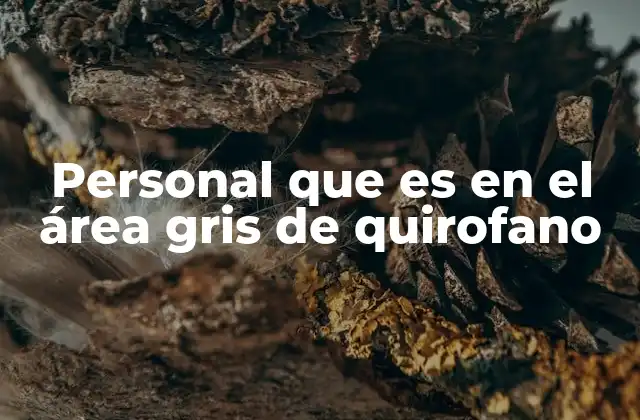 Personal que es en el Área Gris de Quirofano