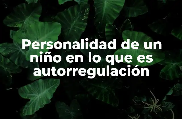Personalidad de un Niño en Lo que es Autorregulación