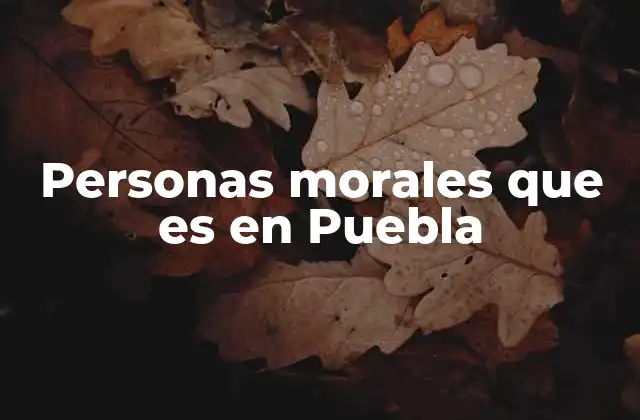 Personas Morales que es en Puebla