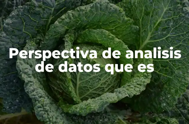Perspectiva de Analisis de Datos que es