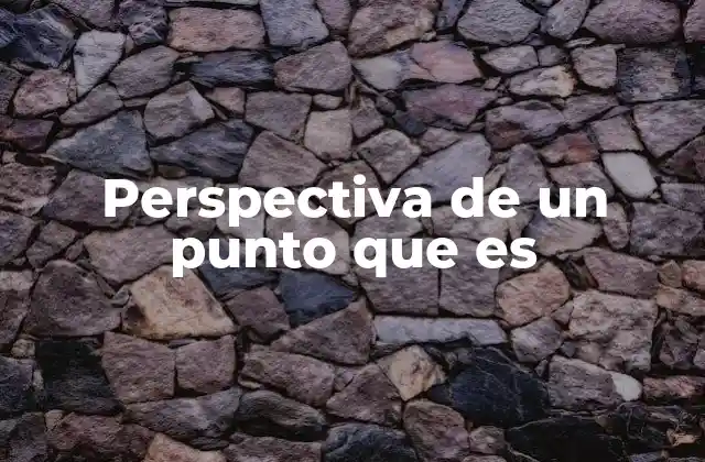 Perspectiva de un Punto que es