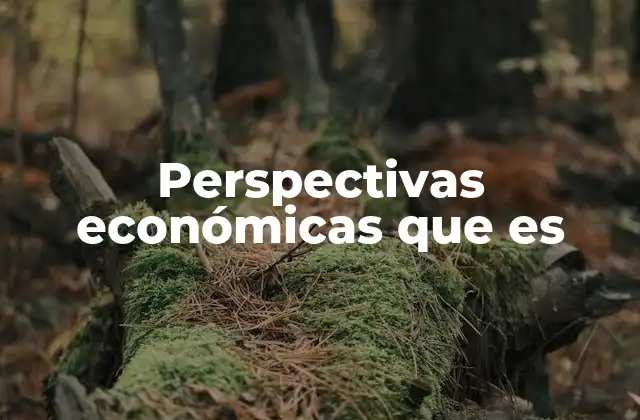 Perspectivas Económicas que es
