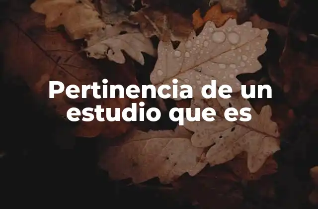 Pertinencia de un Estudio que es