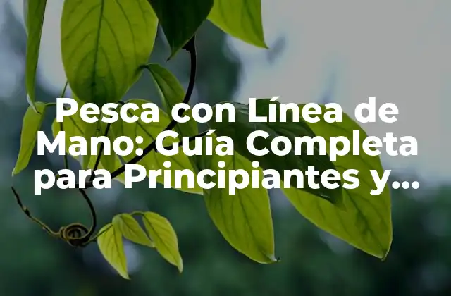 Pesca con Línea de Mano: Guía Completa para Principiantes y Experimentados