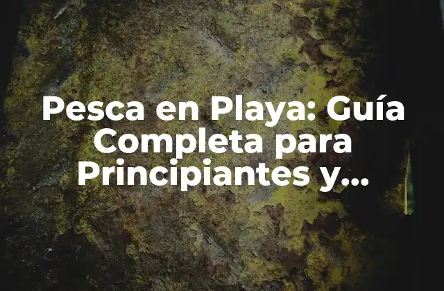 Equipos Necesarios para la Pesca en Playa