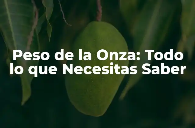 Peso de la Onza: Todo Lo que Necesitas Saber