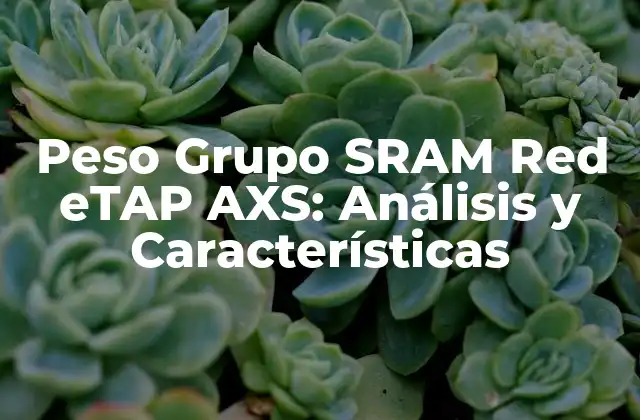 Peso Grupo Sram Red Etap Axs: Análisis y Características