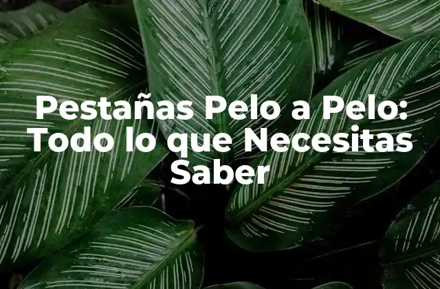 Pestañas Pelo a Pelo: Todo Lo que Necesitas Saber