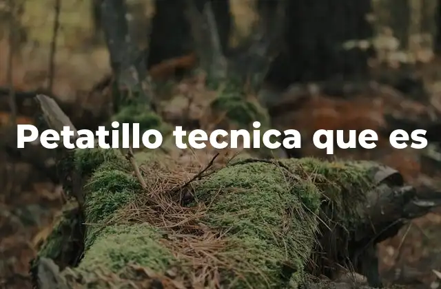 Petatillo Tecnica que es