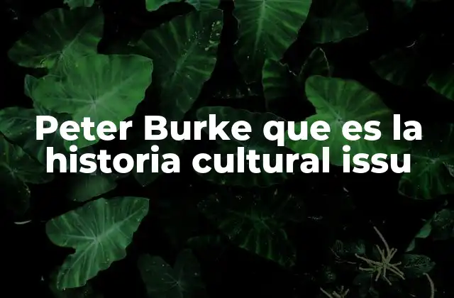 Peter Burke que es la Historia Cultural Issu