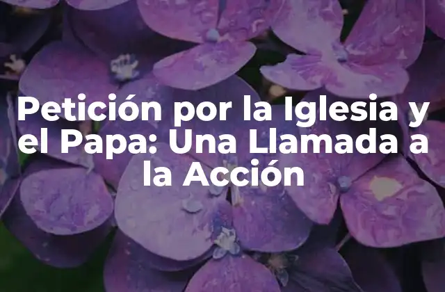 Petición por la Iglesia y el Papa: una Llamada a la Acción
