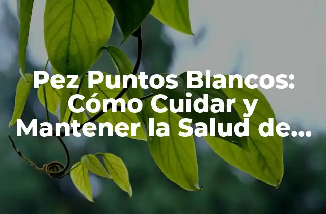 Pez Puntos Blancos: Cómo Cuidar y Mantener la Salud de Estos Pececitos