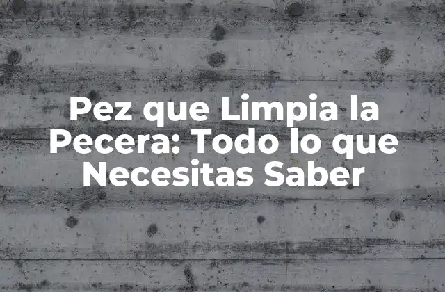 Pez que Limpia la Pecera: Todo Lo que Necesitas Saber