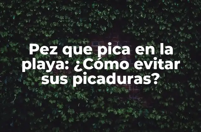 ¿Qué tipo de peces pican en la playa?