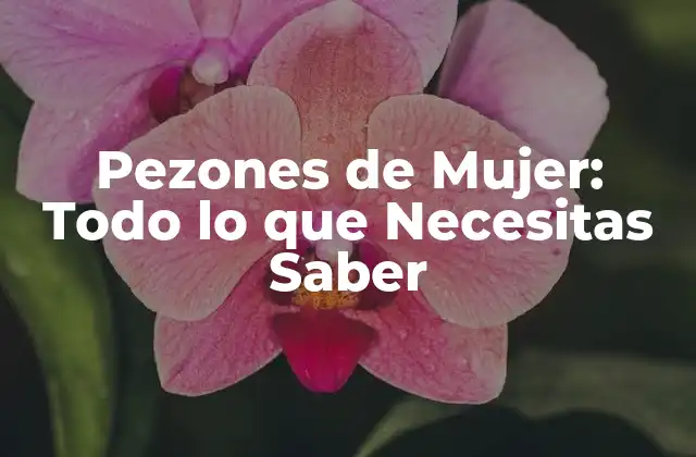 Pezones de Mujer: Todo Lo que Necesitas Saber