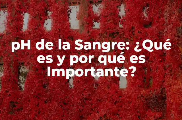 Ph de la Sangre: ¿qué es y por Qué es Importante?
