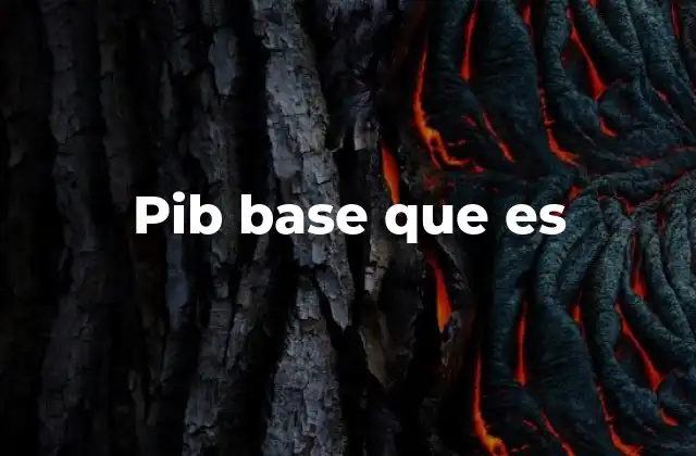 Pib Base que es