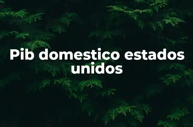 Pib Domestico Estados Unidos