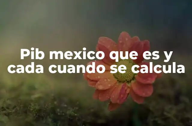 Pib Mexico que es y Cada Cuando Se Calcula