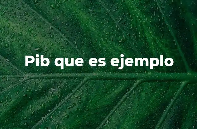 Pib que es Ejemplo
