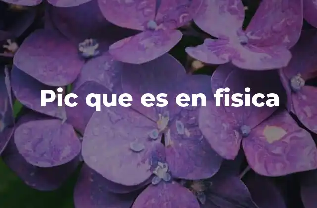Pic que es en Fisica