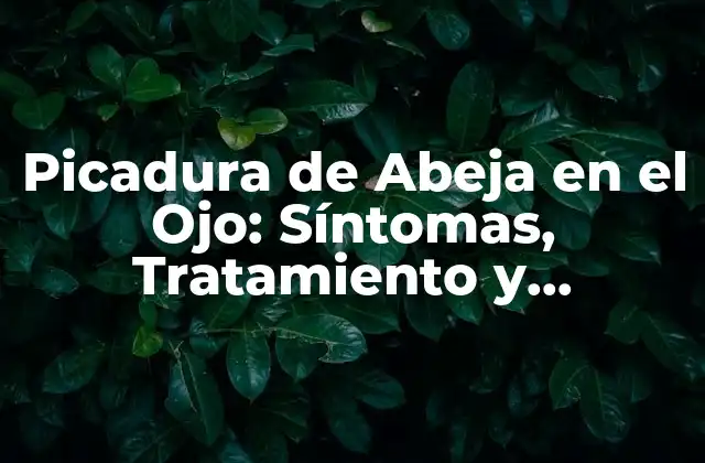 Picadura de Abeja en el Ojo: Síntomas, Tratamiento y Prevención
