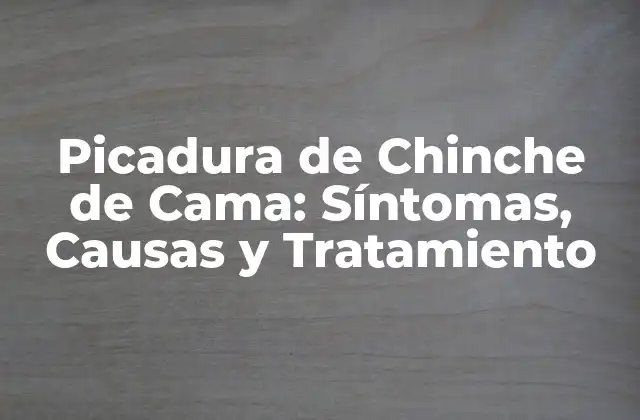 Picadura de Chinche de Cama: Síntomas, Causas y Tratamiento