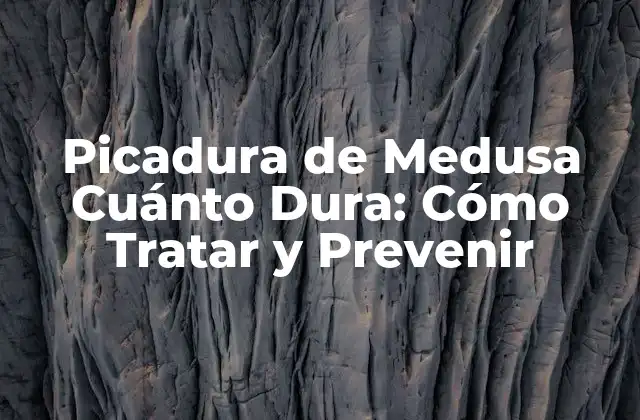 Picadura de Medusa Cuánto Dura: Cómo Tratar y Prevenir