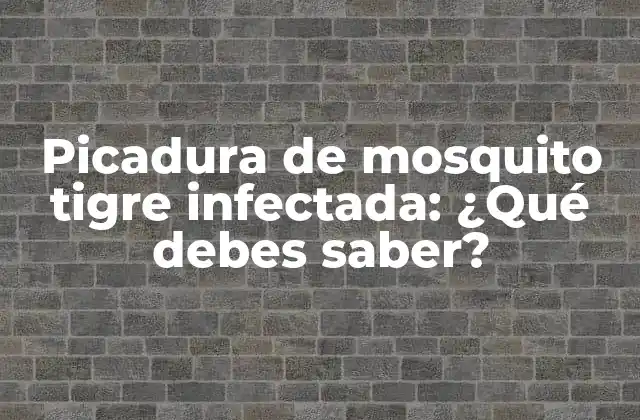 Picadura de Mosquito Tigre Infectada: ¿qué Debes Saber? 2 ¿Cómo se produce la picadura de mosquito tigre infectada?