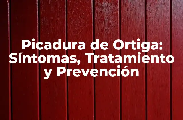 ¿Qué Causa la Picadura de Ortiga?