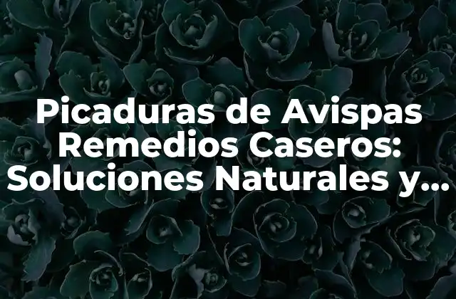 Picaduras de Avispas Remedios Caseros: Soluciones Naturales y Eficaces