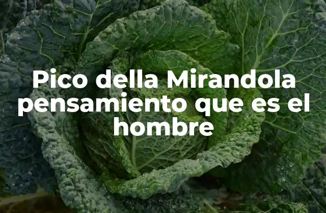 Pico Della Mirandola Pensamiento que es el Hombre