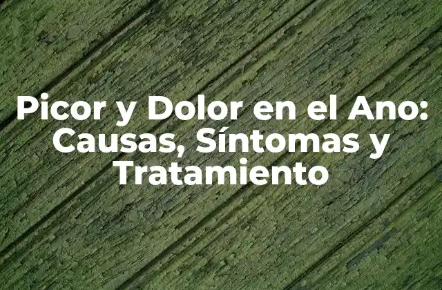 Picor y Dolor en el Ano: Causas, Síntomas y Tratamiento