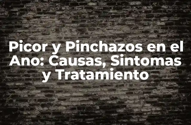Picor y Pinchazos en el Ano: Causas, Sintomas y Tratamiento