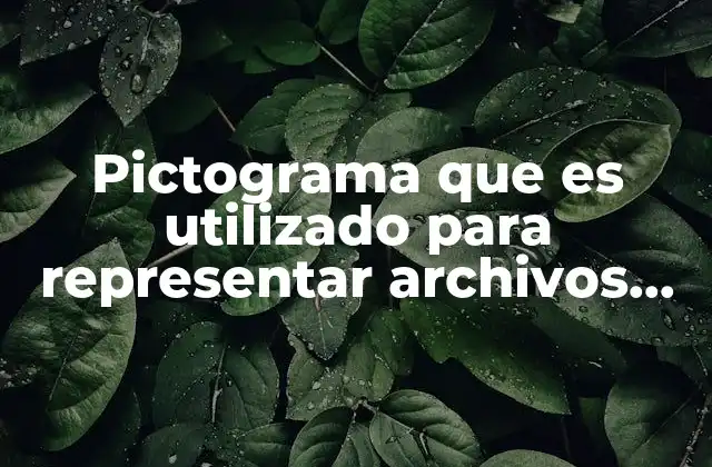 Pictograma que es Utilizado para Representar Archivos Carpetas Programas