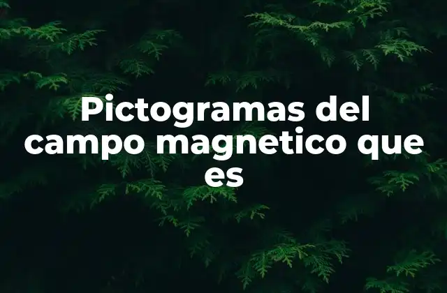 Pictogramas Del Campo Magnetico que es