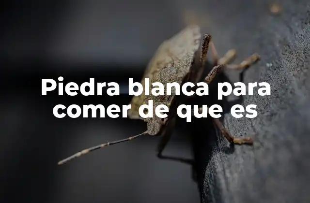 Piedra Blanca para Comer de que es