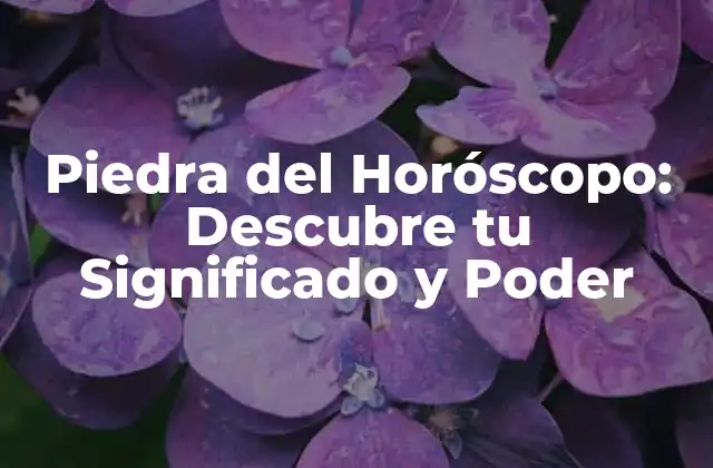 Piedra Del Horóscopo: Descubre Tu Significado y Poder