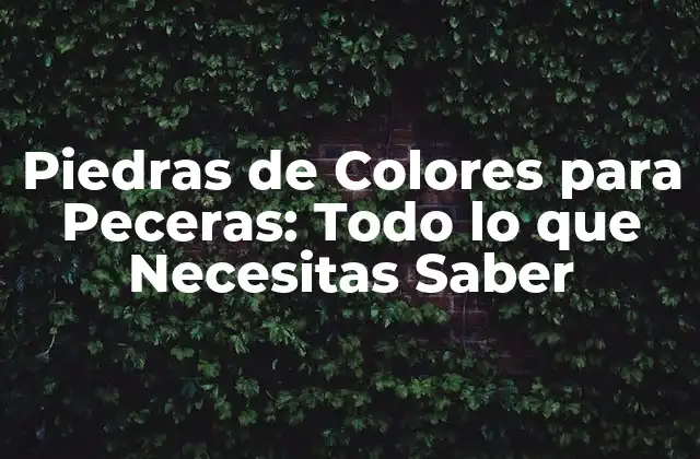 Piedras de Colores para Peceras: Todo Lo que Necesitas Saber