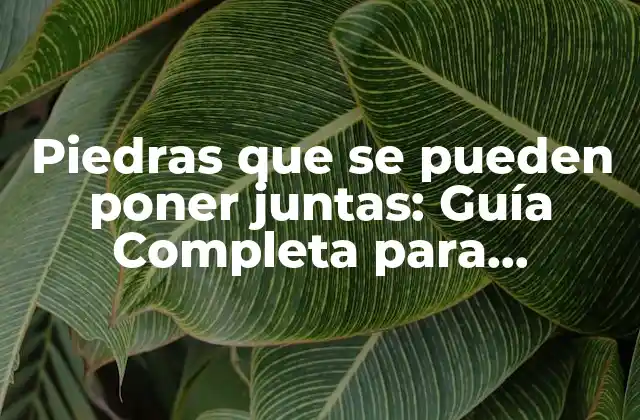Piedras que Se Pueden Poner Juntas: Guía Completa para Combinar Materiales Naturales