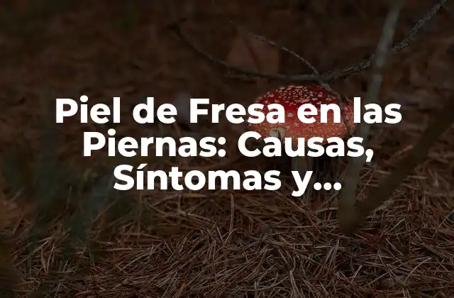 Piel de Fresa en las Piernas: Causas, Síntomas y Tratamiento