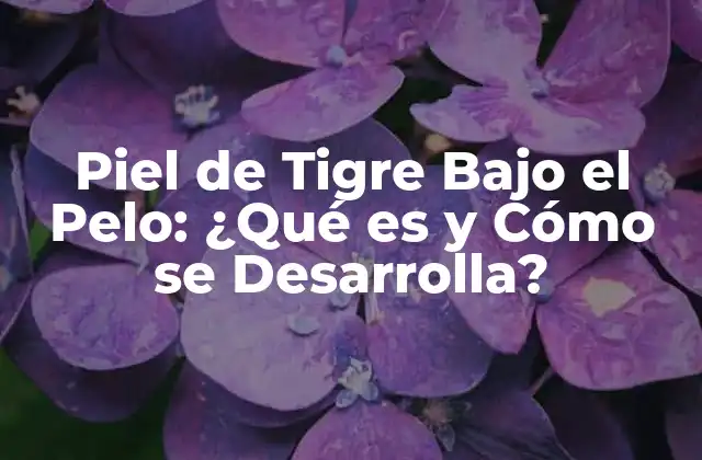Piel de Tigre bajo el Pelo: ¿qué es y Cómo Se Desarrolla?